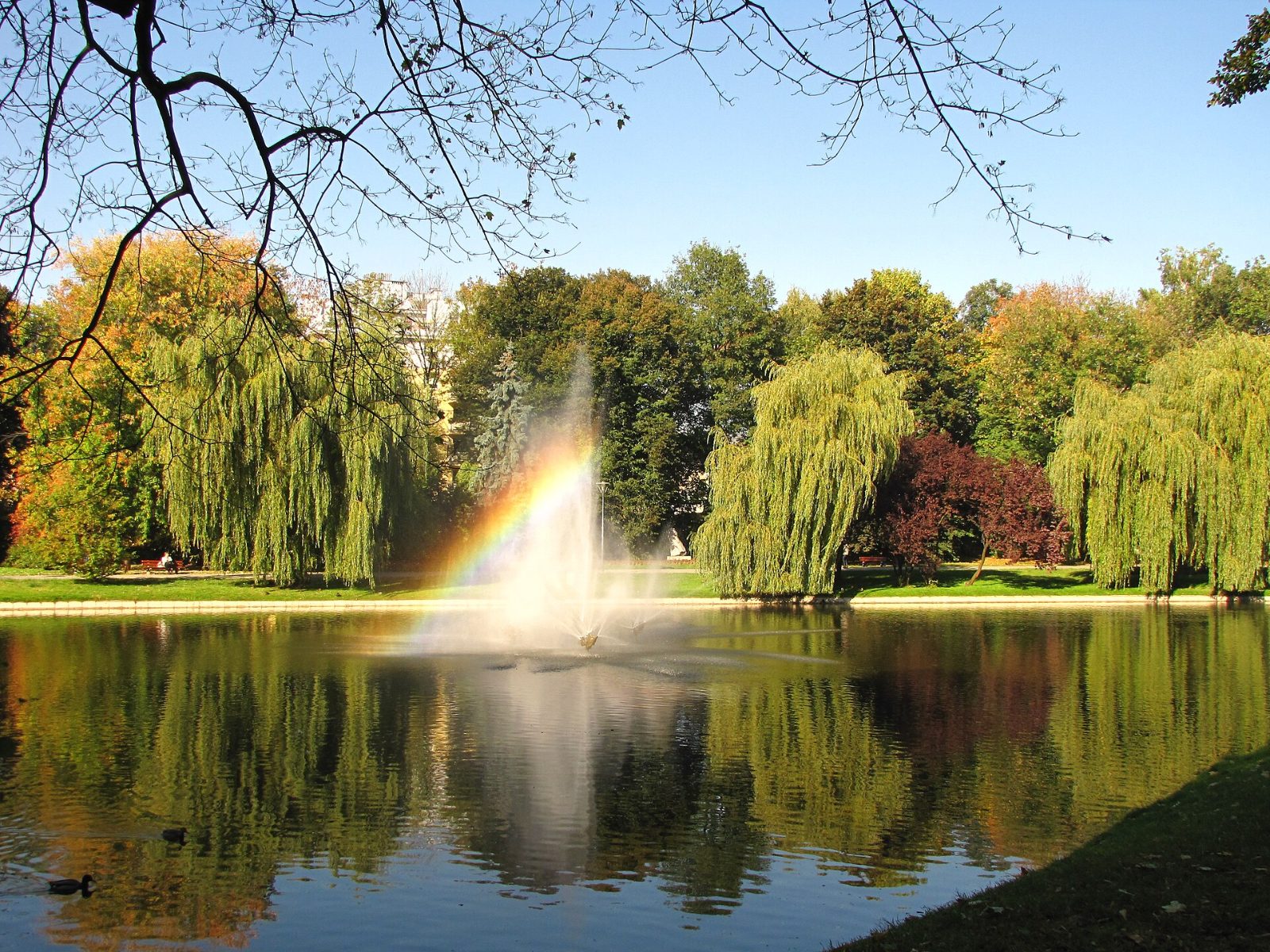 Park Miejski w Kielcach
